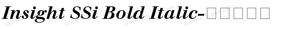 Insight SSi Bold Italic字体转换